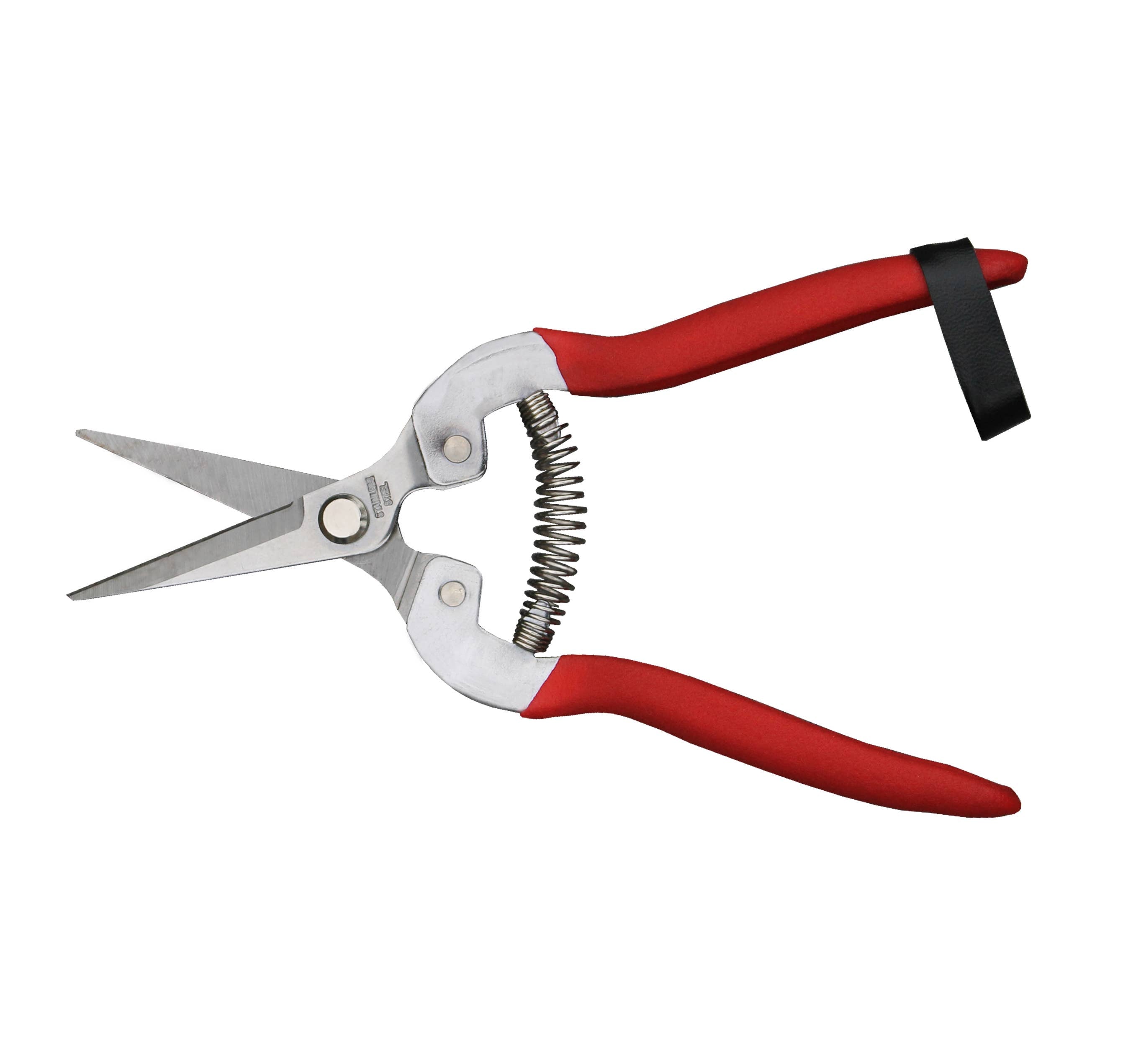 Garden Shears--Needle Nose: Garden of Paradise