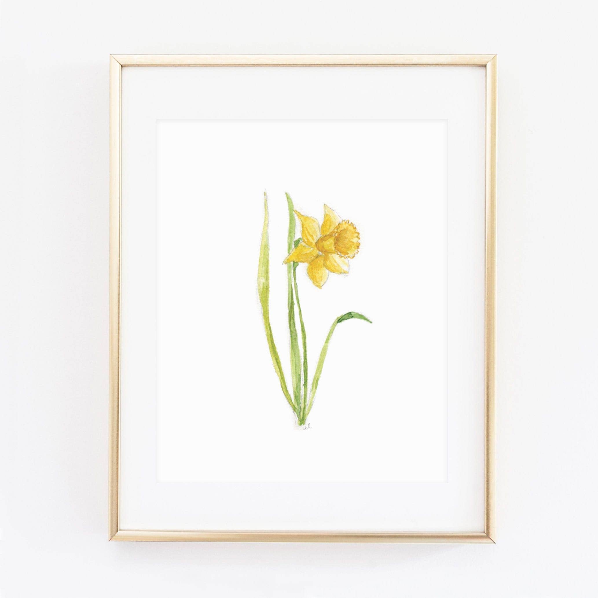 Daffodil Art Print