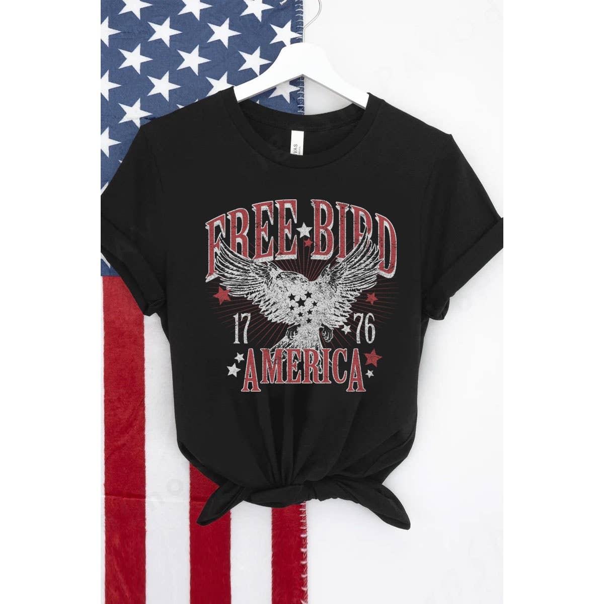 FREE BIRD WASHED GRAPHIC TEE: OATMEAL / S-M-L-XL(1-2-2-1)