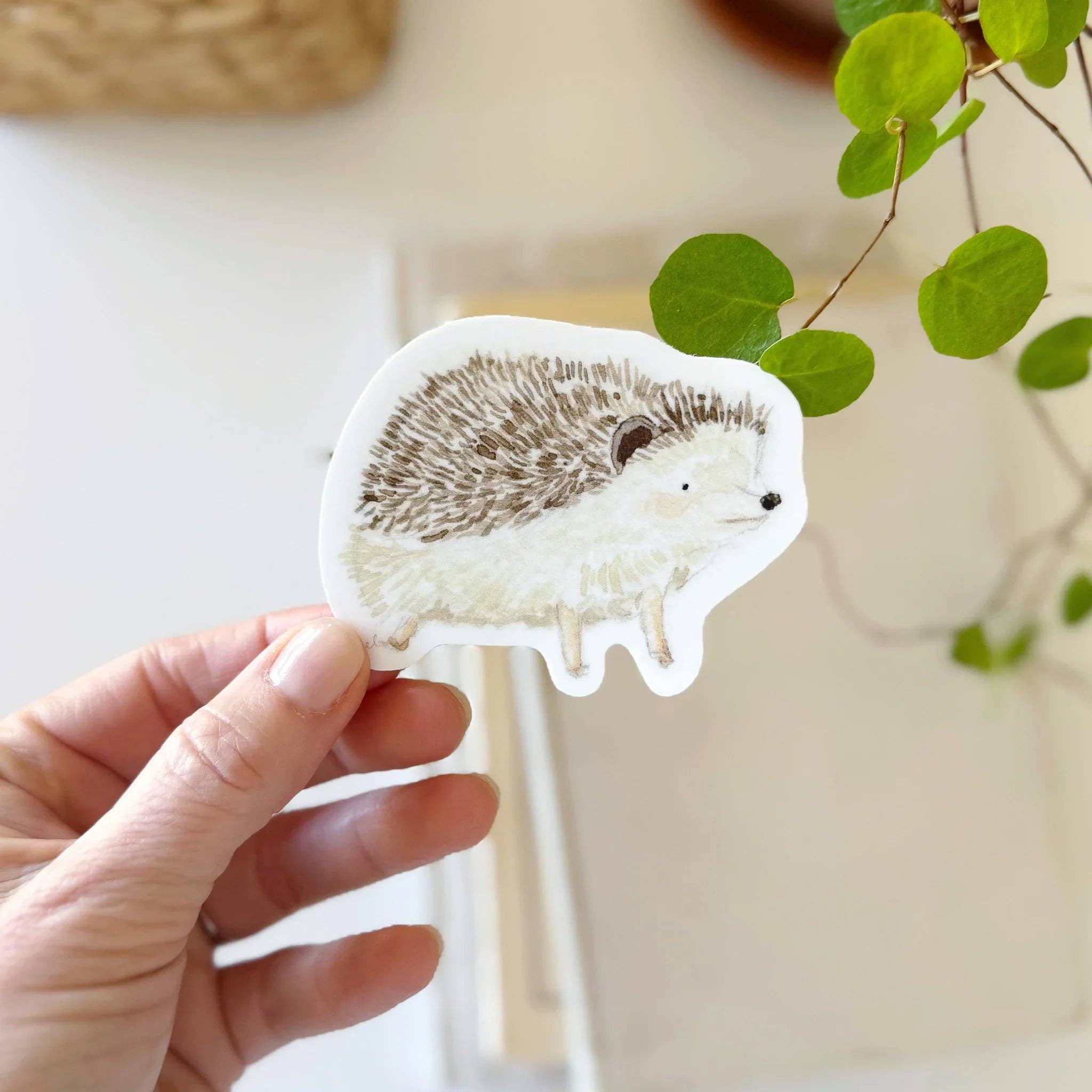 Hedgehog sticker