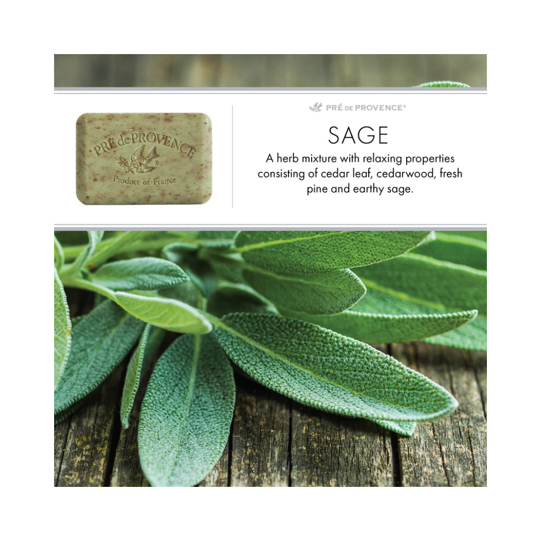 Sage Shea Butter Soap