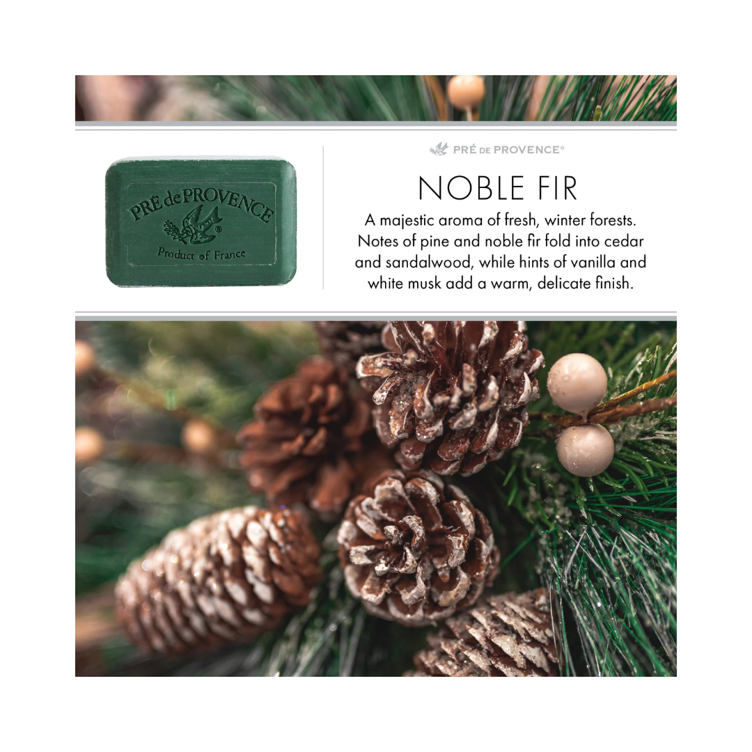 Noble Fir Shea Butter Soap Bar