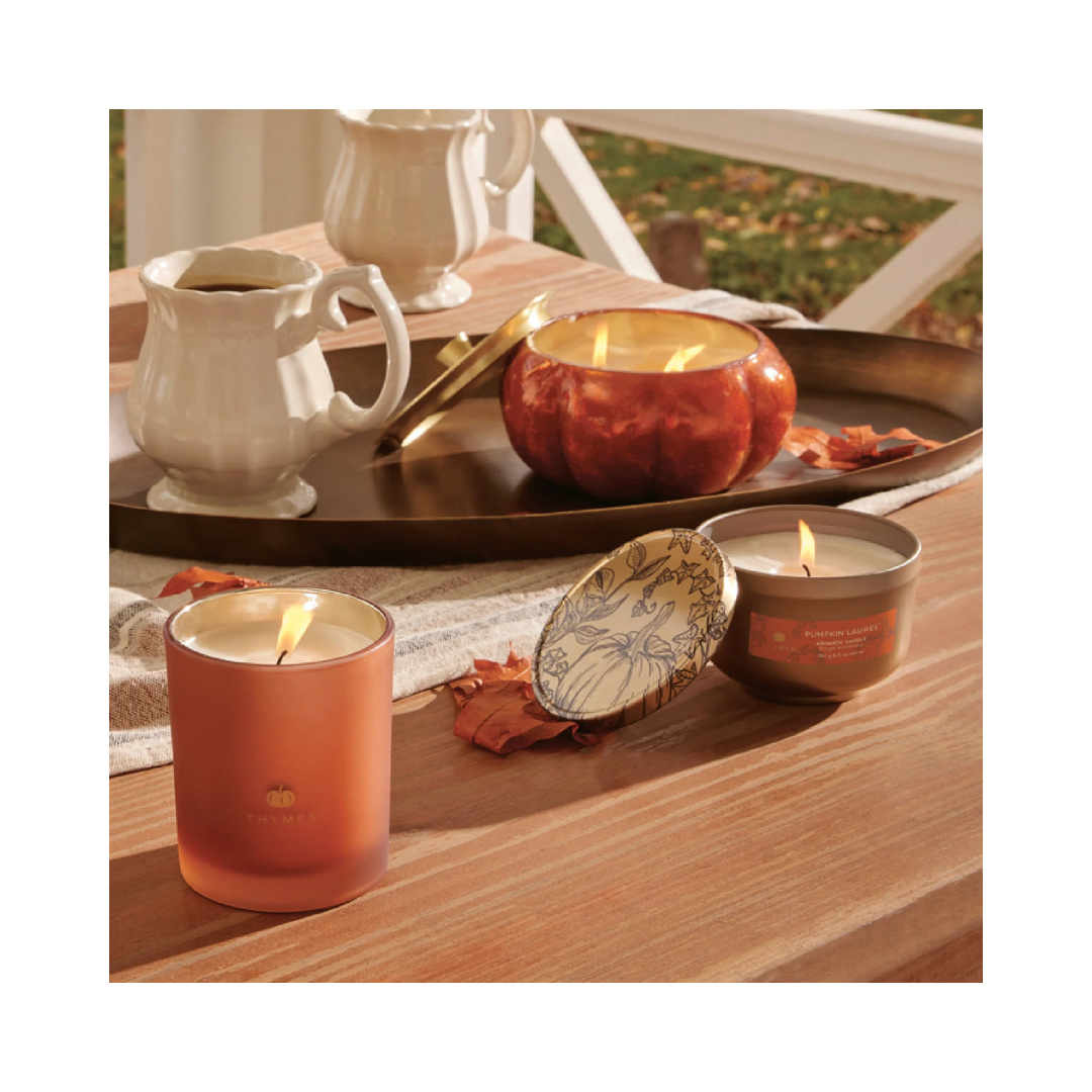 Pumpkin Laurel Universal Tin Candle 6.5 oz