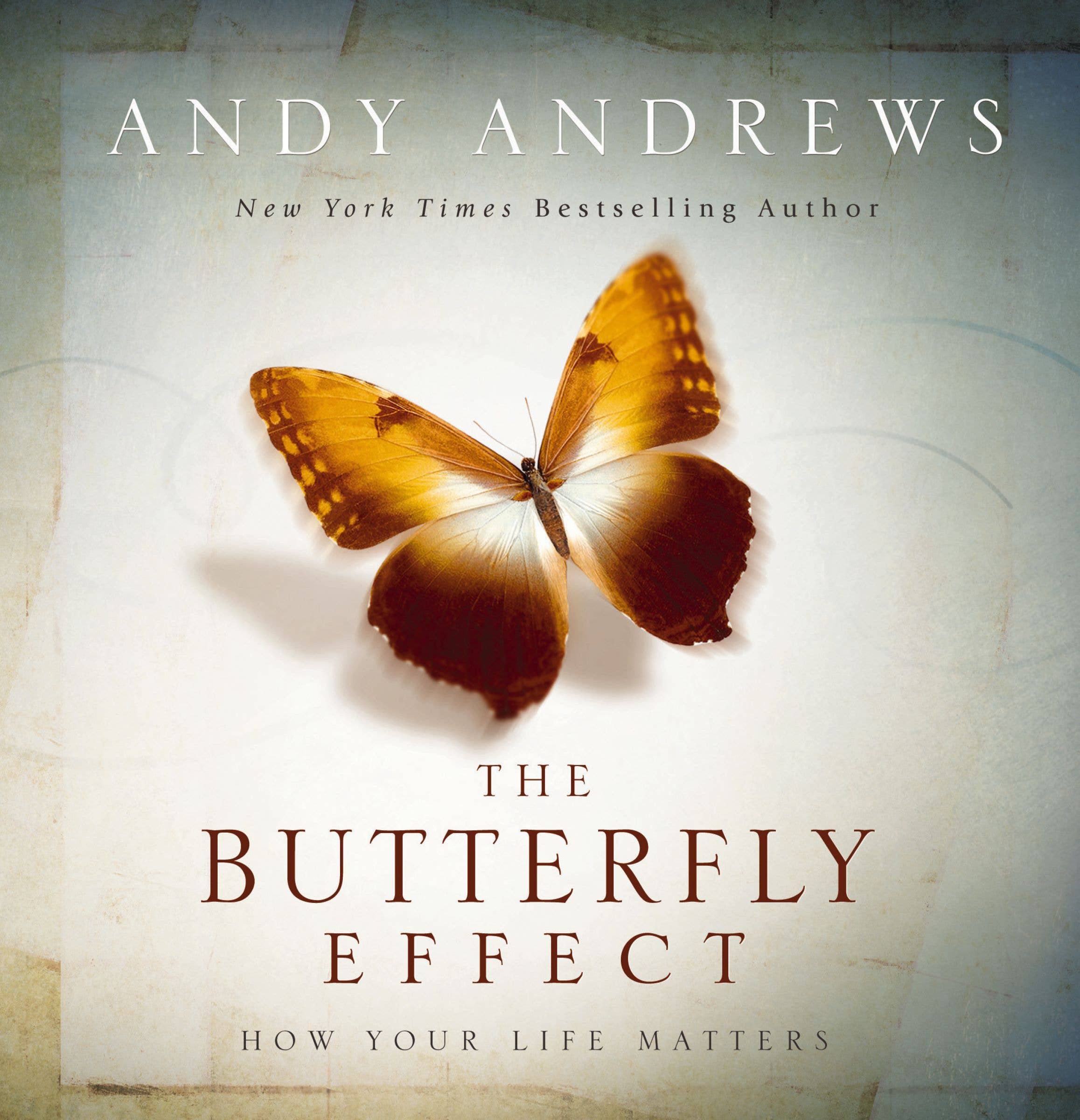 Butterfly Effect, The