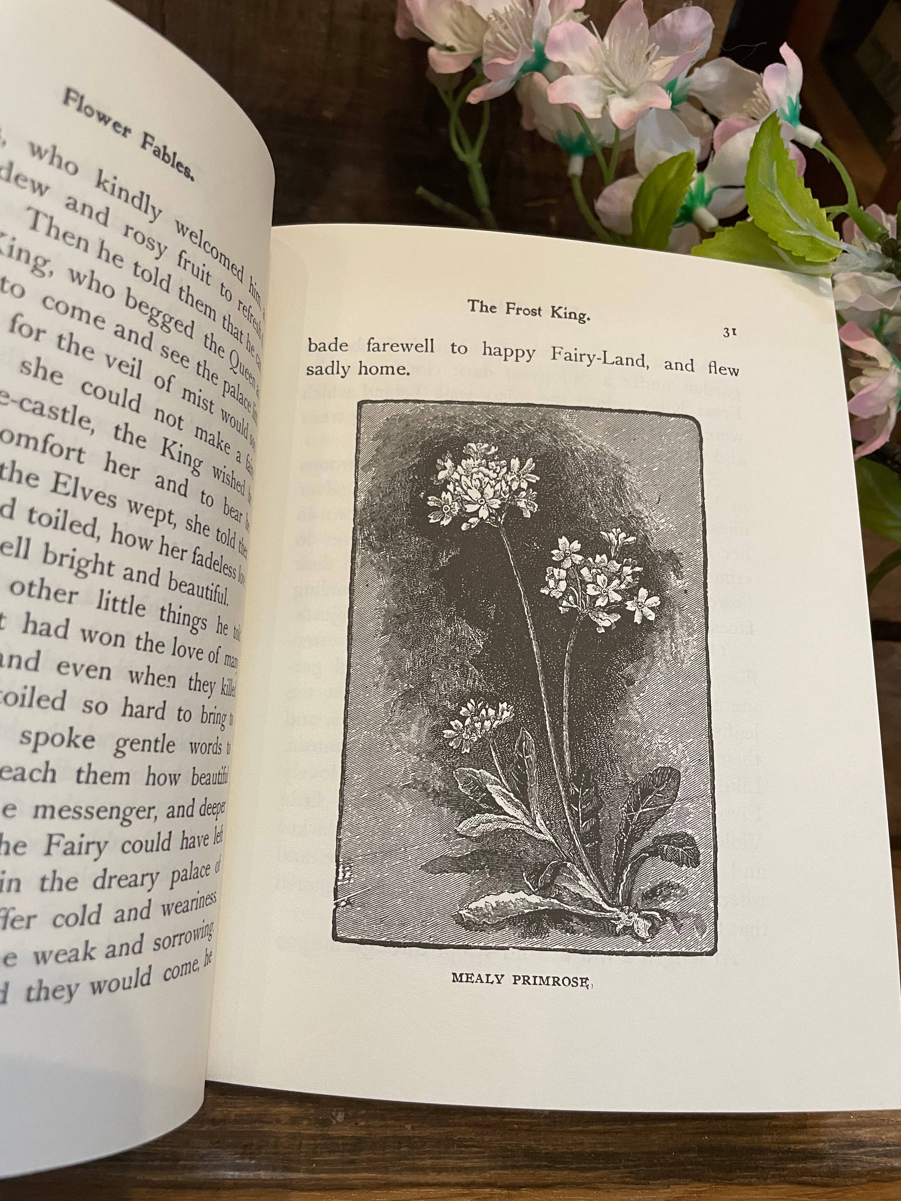 Flower Fables