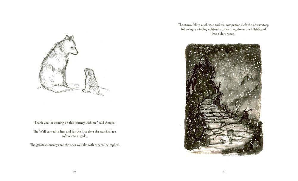 Dog Who Followed the Moon, The: James Norbury