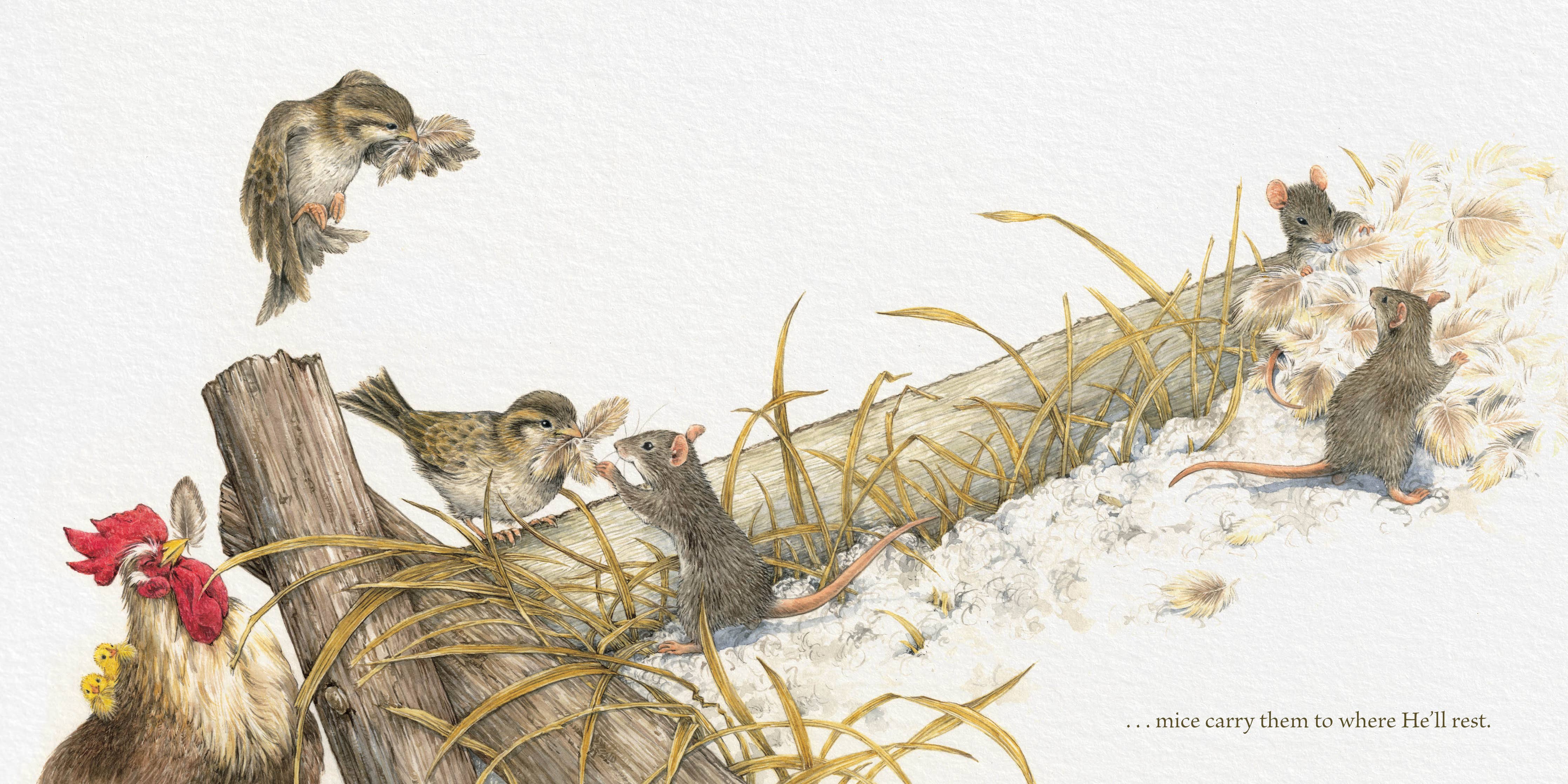 The Gifts of the Animals