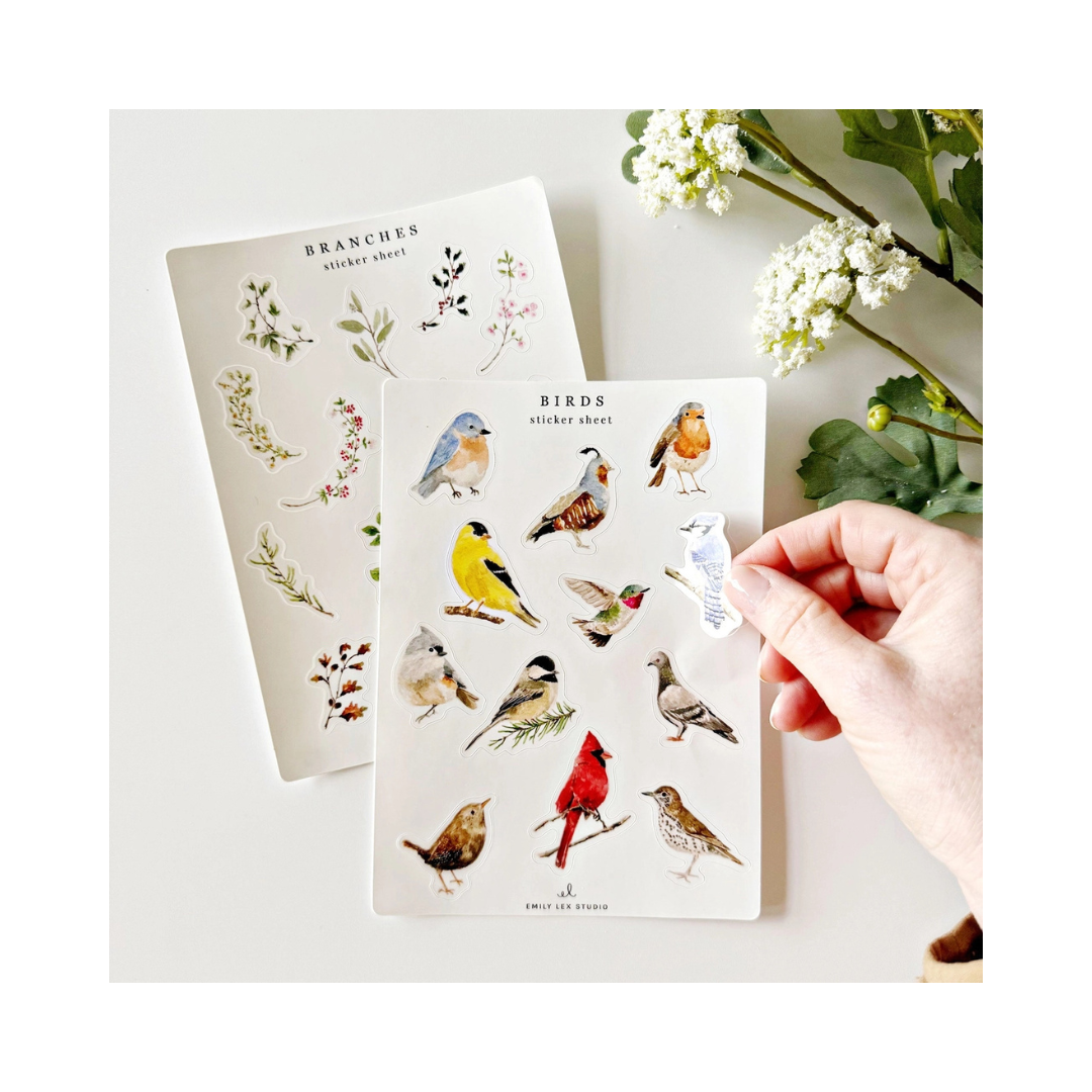 Birds Sticker Sheets