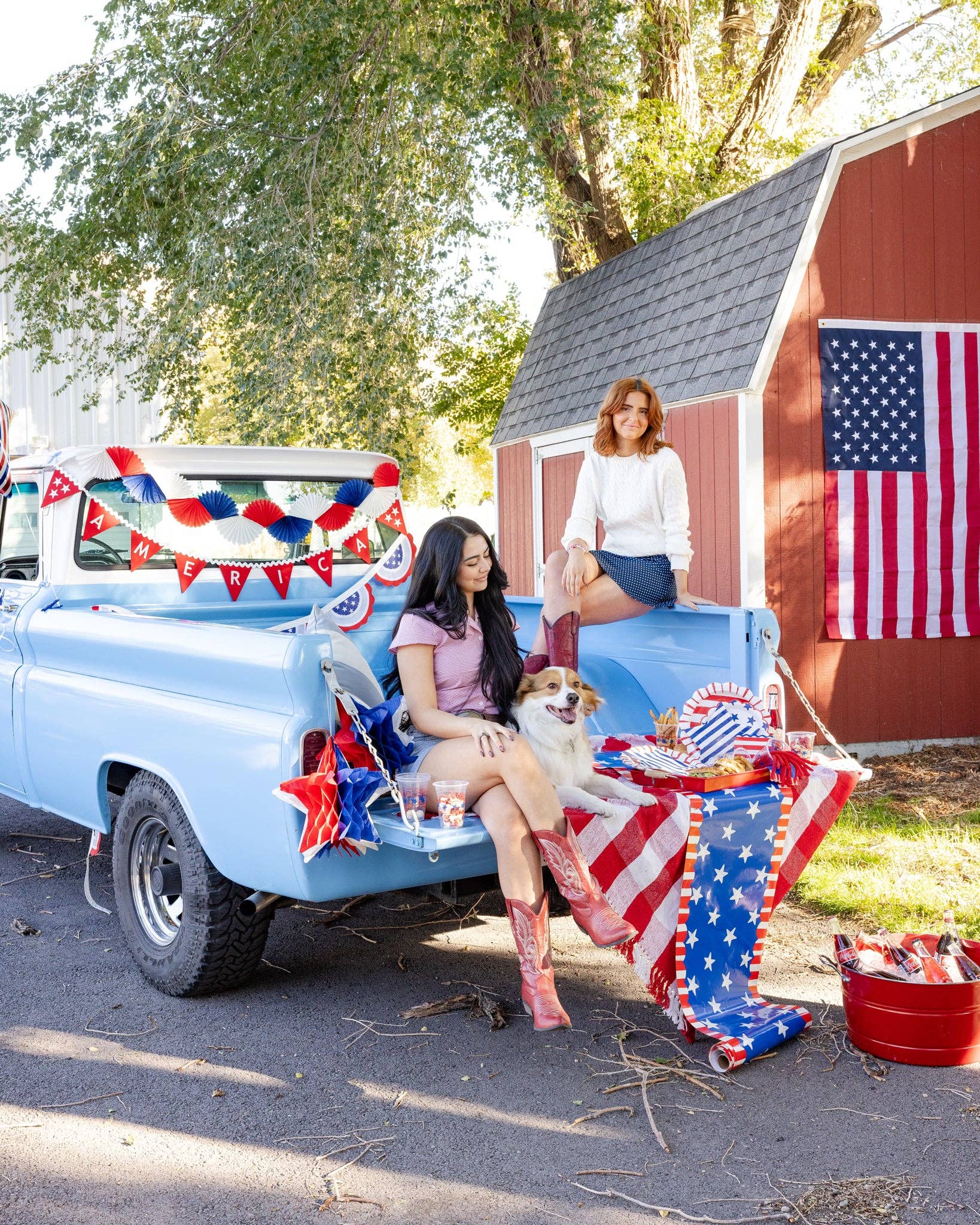 SSP1202 - America Felt Pennant Banner