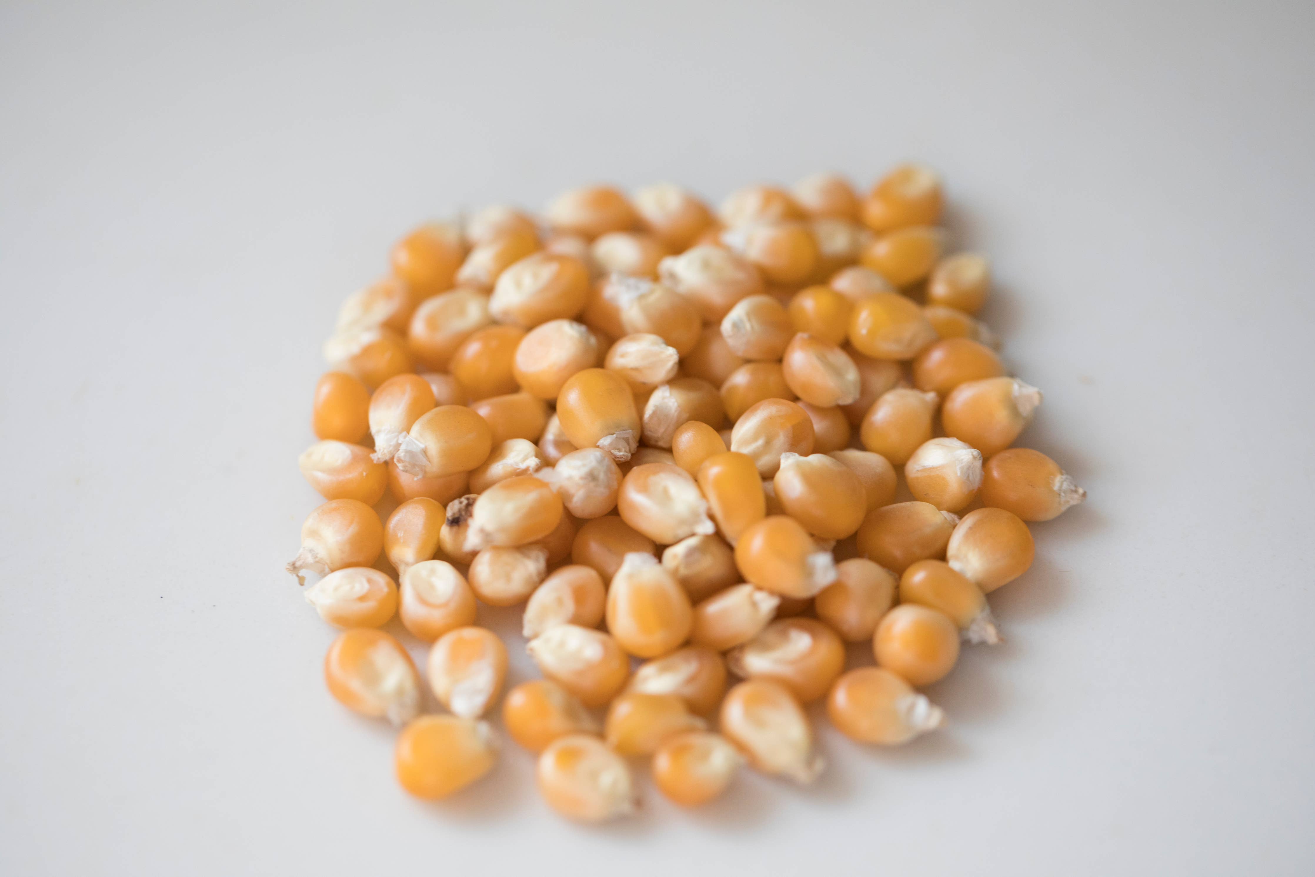 25lb. Bag of Mushroom Popcorn