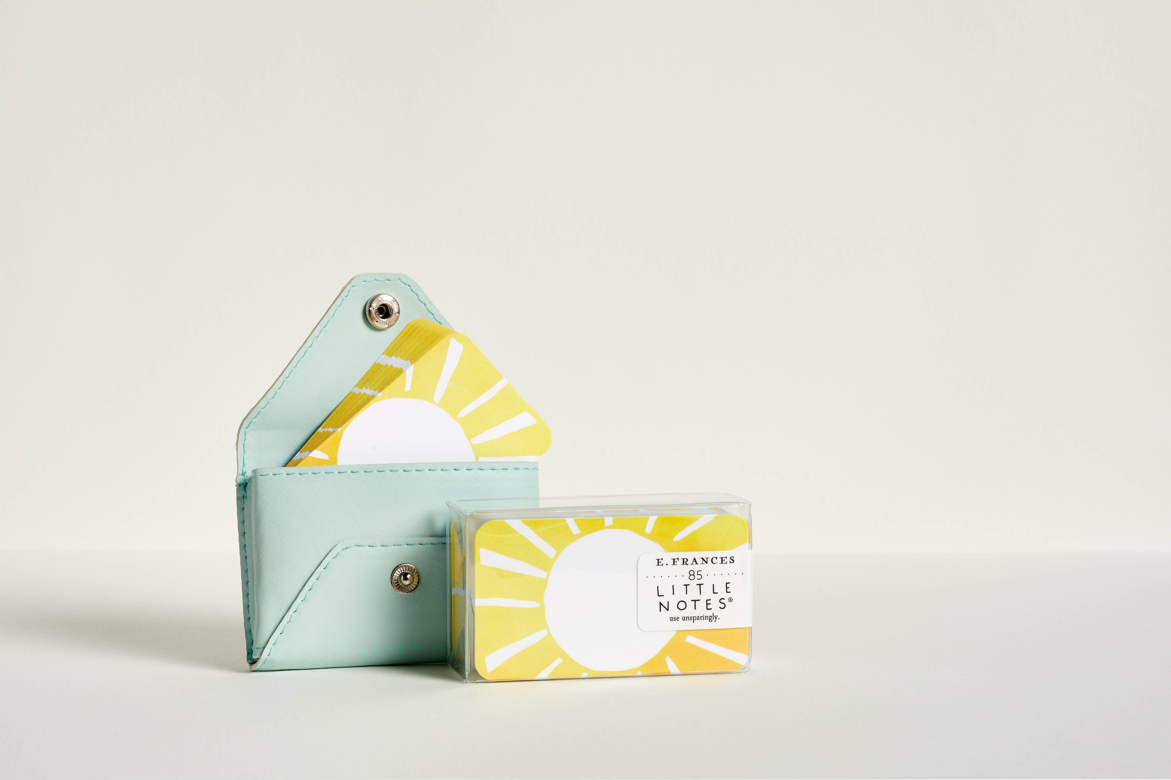 E. Frannie Pack | Little Notes® Cardholder (Seaglass Green)