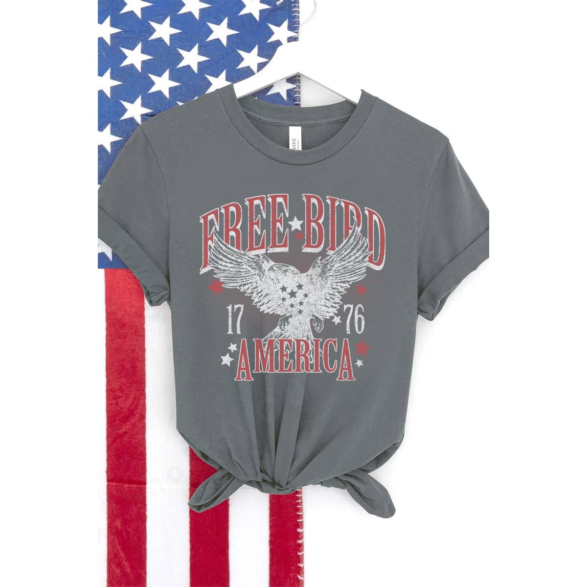 FREE BIRD WASHED GRAPHIC TEE: OATMEAL / S-M-L-XL(1-2-2-1)