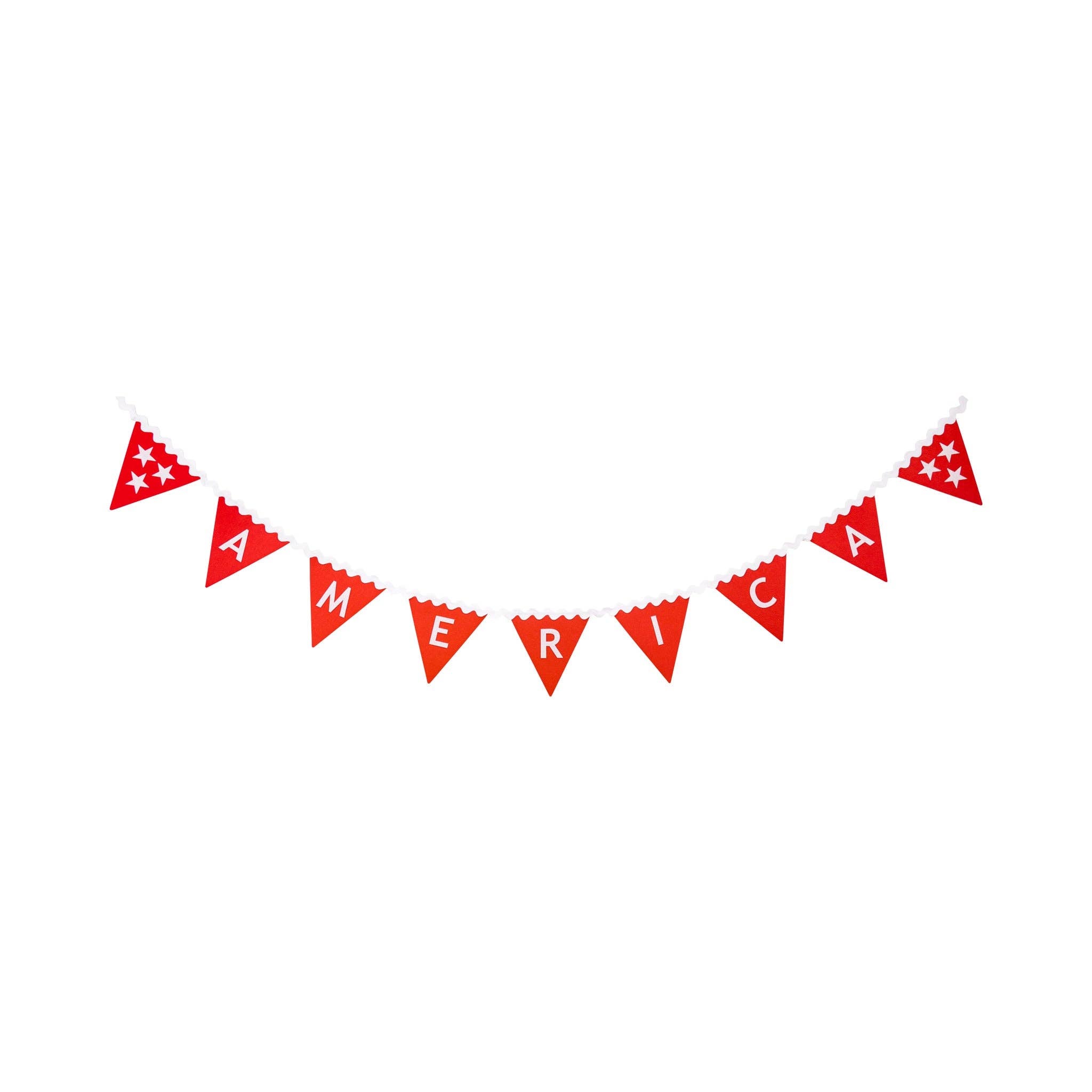 SSP1202 - America Felt Pennant Banner