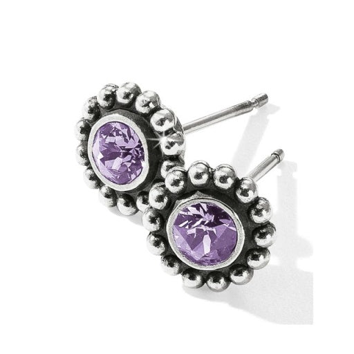 Tanzanite Twinkle Mini Post Earrings J2049K