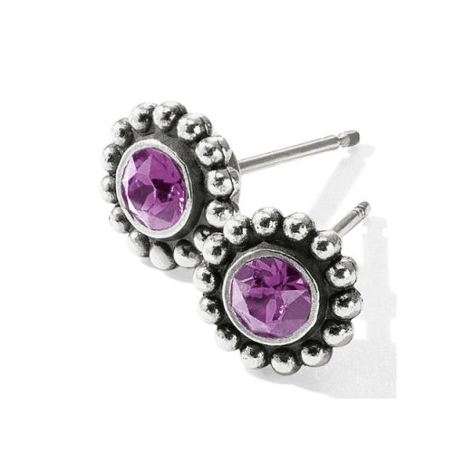 Amethyst Twinkle Mini Post Earrings J2049G